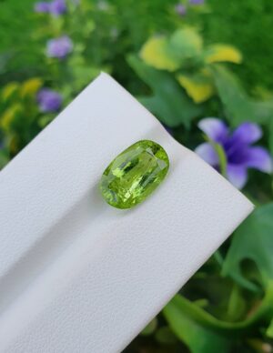 Peridot Stone Natural Loose Untreated | 4.43 ct