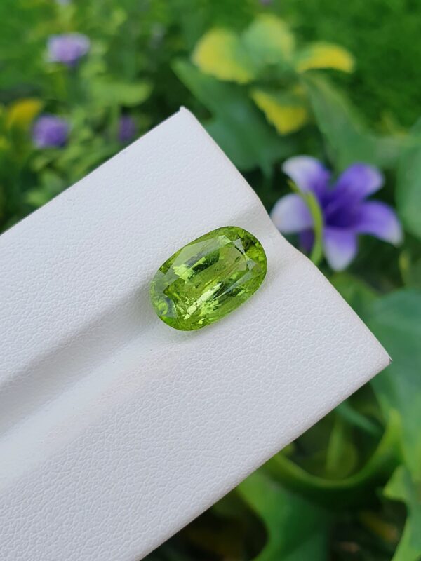 Peridot Stone Natural Loose Untreated | 4.43 ct - Image 2