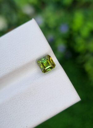 Tourmaline Sone Bicolor From Afghanistan Natural | 1.18 ct